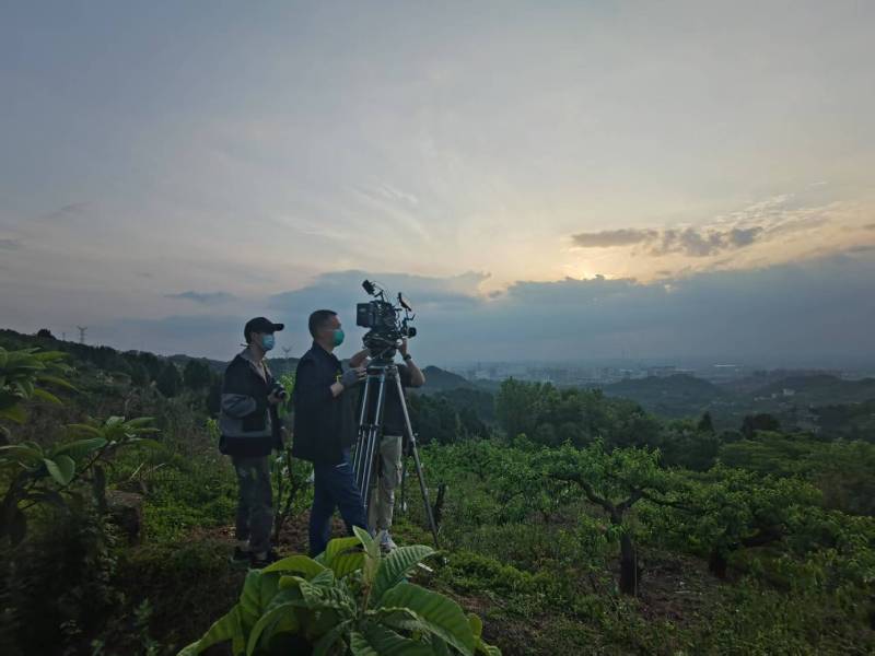 创意破圈！长安区电商产品宣传视频用故事化叙事引爆流量
