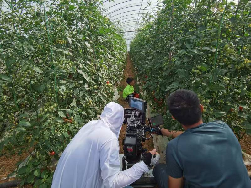 长安区产品宣传视频拍摄公司进阶指南，助力品牌抢占传播高地